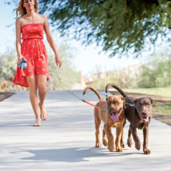 Wigzi Dual Doggie 2.0 10 Wigzi Dual Doggie 2.0 -Hondenbenodigdheden Winkel wigzi dual doggie 20 167836 1500 none