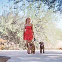 Wigzi Dual Doggie 2.0 11 Wigzi Dual Doggie 2.0 -Hondenbenodigdheden Winkel wigzi dual doggie 20 167839 1500 none