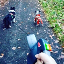 Wigzie Dual Doggie 3.0 6 Wigzie Dual Doggie 3.0 -Hondenbenodigdheden Winkel wigzi dual doggie 30 167845 0500 none