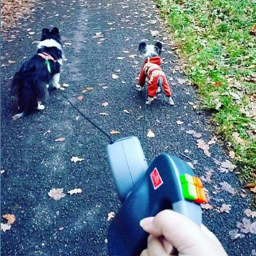 Wigzie Dual Doggie 3.0 4 Wigzie Dual Doggie 3.0 - Afbeelding 3