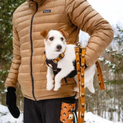 Woolly Wolf Sea To Summit Hondenriem -Hondenbenodigdheden Winkel woolly wolf sea to summit hondenriem 194831 1000 none