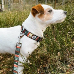 Woolly Wolf Woodland Hondenriem -Hondenbenodigdheden Winkel woolly wolf woodland hondenriem 204539 1000 none