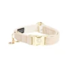 Kentucky Dogwear Hondenhalsband Wool -Hondenbenodigdheden Winkel xPYgBV7umMRoUJbq4ipqUtRJySsUiP metaS2VudHVja3ktRG9nd2Vhci1Ib25kZW5oYWxzYmFuZC1Xb29sLWJlaWdlLnBuZw
