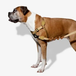 Zee.Dog Soft Walk Harness -Hondenbenodigdheden Winkel zeedog soft walk harness 200678 1000 none