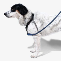 Zee.Dog Soft Walk Harness -Hondenbenodigdheden Winkel zeedog soft walk harness 200684 1000 none