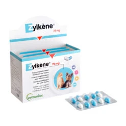 Zylkene -Hondenbenodigdheden Winkel zylkne 118786 2000 none